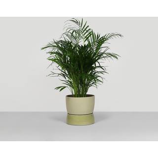 Two Tone Planter Floor, Large - Artichoke green