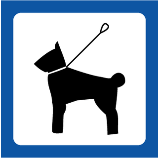 Hund i snor piktogram - hundeskilt