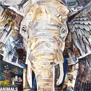 Lærredstryk - Elephants Gaze - Str: 40 x 40 Cm