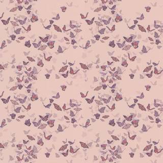 Isabelle Boxall Wallpaper Flight of Monarchs IB5023