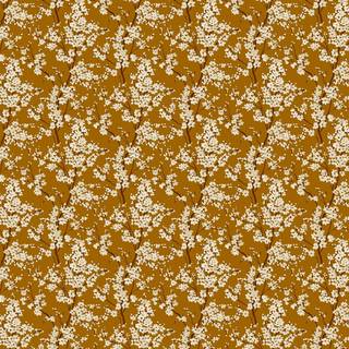 Cherry Blossom Honey - B00127