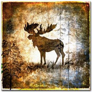 Varumärke Fine Art Ali10262-C1818gg Canvas Art 18 i x 18 in