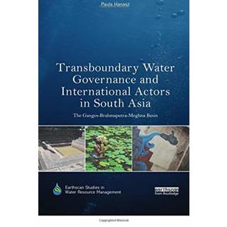 Transboundary Water Governance and International Actors in South Asia