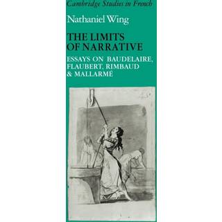 The Limits of Narrative