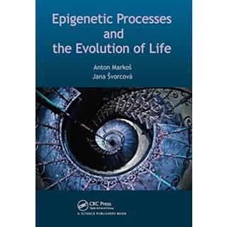 Epigenetic Processes and Evolution of Life