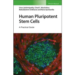 Human Pluripotent Stem Cells