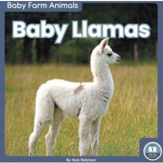 Baby Llamas
