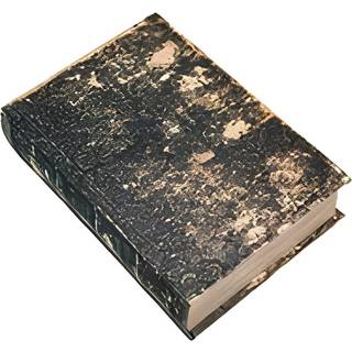 Vintage Dekobuch mit Geheimfach 30cm