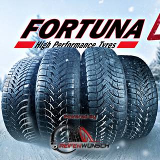 Fortuna Gowin UHP2 XL 3PMSF 245/45R17 99V