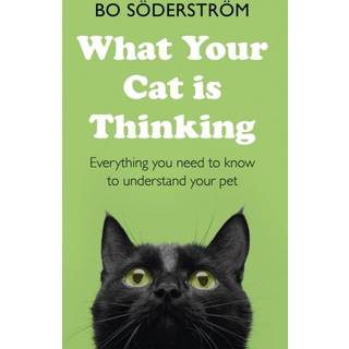 What Your Cat Is Thinking