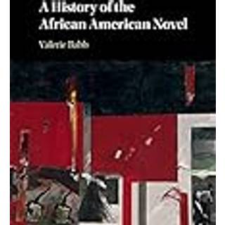 A History of the African American Novel