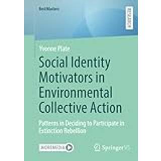 Social Identity Motivators in Environmental Collective Action