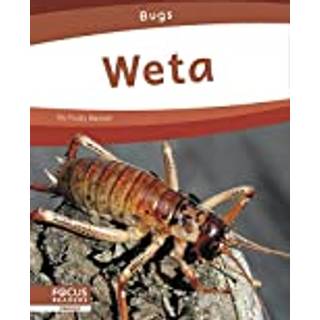 Weta