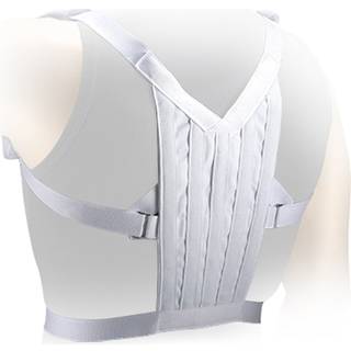 BODY POSTURE SUPPORT