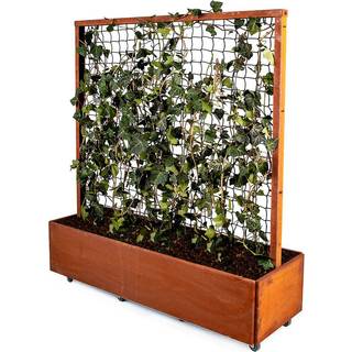 Espalier 120 cm høj til plantekasse 40x120 cm
