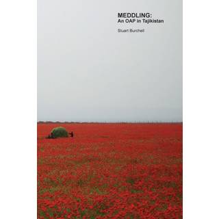 MEDDLING: An OAP in Tajikistan