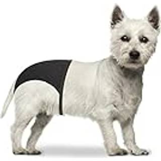 Løbetidsbukser til hund, størrelse S - 24-31 cm