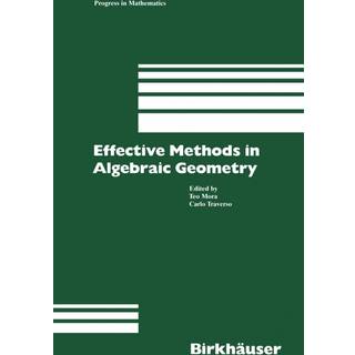 Effective Methods in Algebraic Geometry