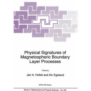 Physical Signatures of Magnetospheric Boundary Layer Processes