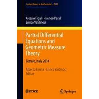 Partial Differential Equations and Geometric Measure Theory