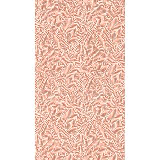 Yew & Aril Watermelon - MVOW217348