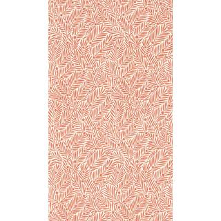 Yew & Aril Watermelon - MVOW217348