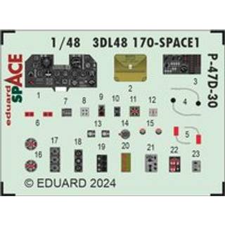 P-47D-30 SPACE 1/48 MINIART