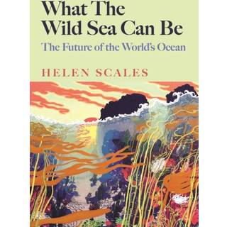 What the Wild Sea Can Be