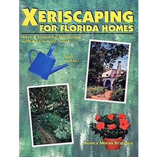 Xeriscaping For Florida Homes