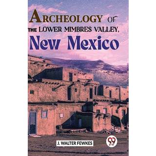 Archeology of the Lower Mimbres Valley, New Mexico