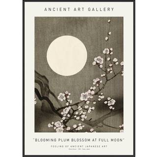 Plakat - Blooming Plum Blossom At Full Moon - Ancient Art Plakat - Str:50 x 70 Cm - Incado