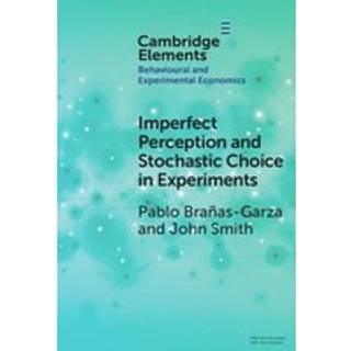Imperfect Perception and Stochastic Choice in Experiments