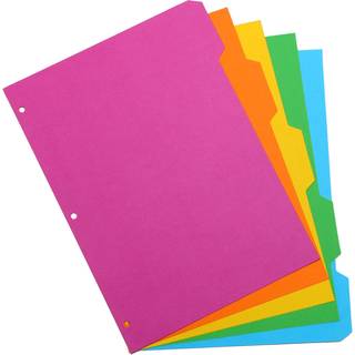 Pukka Pad 5 -del Deliders - 1 Pack med 5 Tab Set 3 -Ring Binder kompatibel 8 1/2 x 11 tommer - Lyse farver