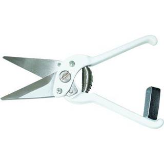 Klovsaks uden tænder til får