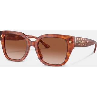 Coach HC8392U CR611 577413 53 Solbriller Kvinder Tortoiseshell - Tortoiseshell Caramel - 53mm