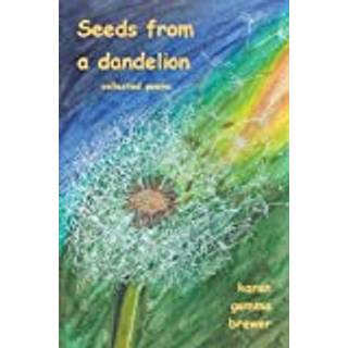 Seeds from a dandelion