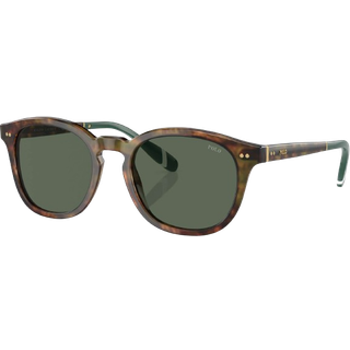 Polo Ralph Lauren Mand PH4206 501771 Solbriller Acetat Skildpadde Grøn Pantos Normal