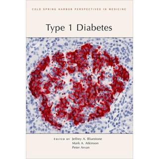 Type 1 Diabetes