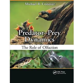 Predator-Prey Dynamics