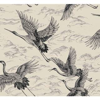 Imperial Ibis Nacre - B00132