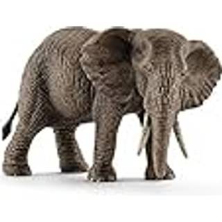 Schleich Afrikansk hunelefant [Levering: 1-2 dage]
