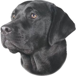 Sticker Labrador Sort