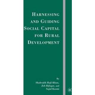 Harnessing and Guiding Social Capital for Rural Development