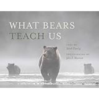 What Bears Teach Us