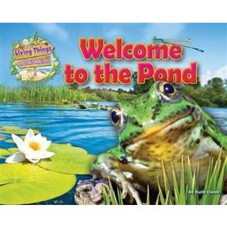 Welcome to the Pond