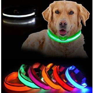 LED Hundehalsbånd Genopladelig / Refleks & Halsbånd til Hund