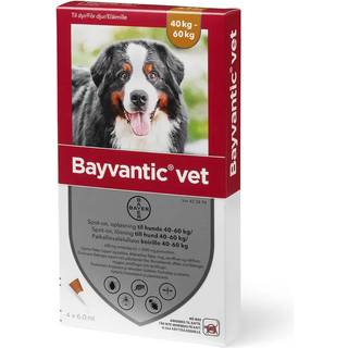 Bayvantic Vet. til hunde - 40-60 kg