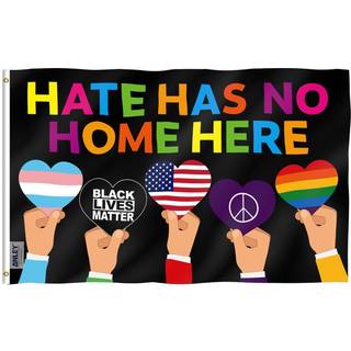 Anley Fly Breeze 3x5 Foot Hate har ikke noget hjem her flag - levende farve og fade bevis - lærredshoved og dobbelt syet - Human Rights LGBTQ BLM