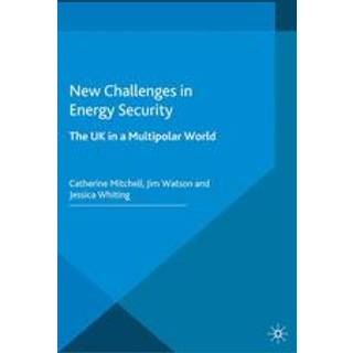 New Challenges in Energy Security