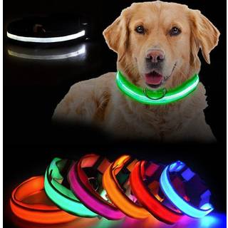 LED Hundehalsbånd Genopladelig / Refleks & Halsbånd til Hund
